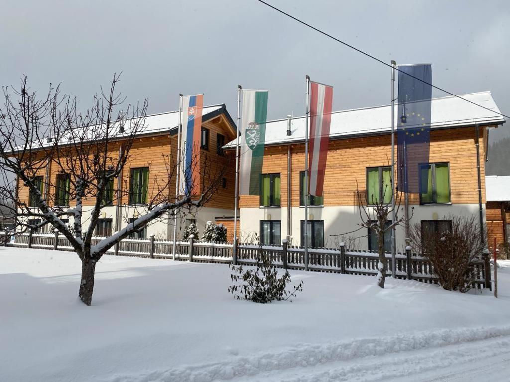 Chalet Reiteralm- Ski Inski Out Schladming Extérieur photo